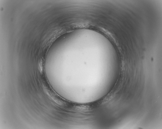 X0000052550069200507221502