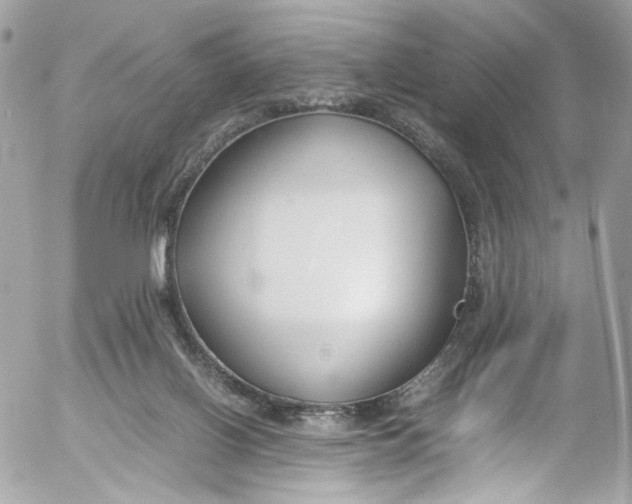 X0000052550070200507221502