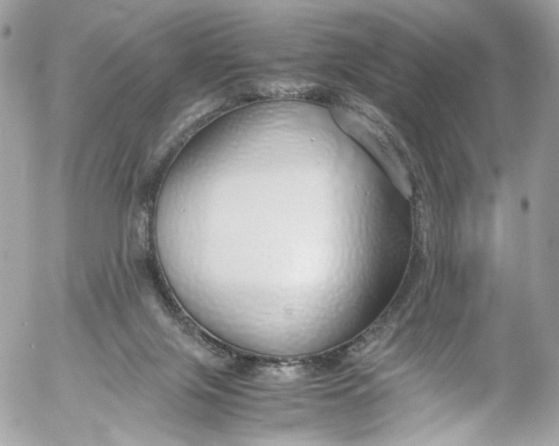 X0000052550071200507221502