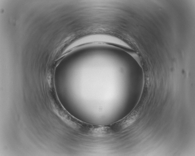 X0000052550072200507221502