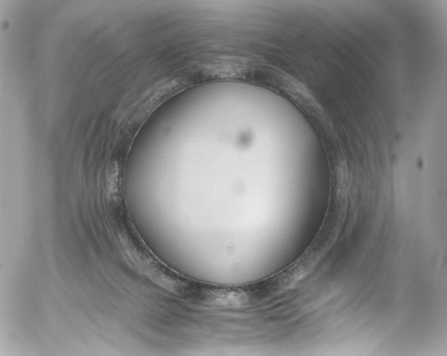 X0000052550073200507221502