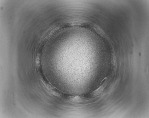 X0000052550074200507221502