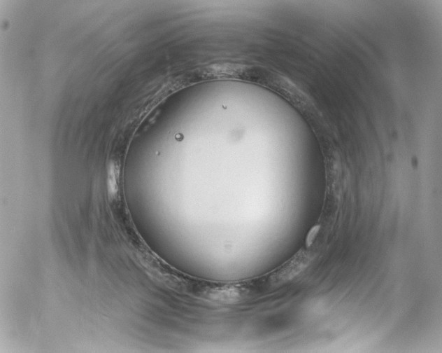 X0000052550075200507221502