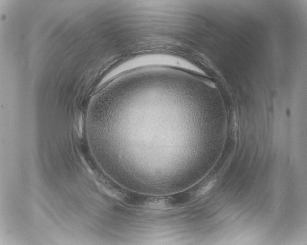 X0000052550076200507221502