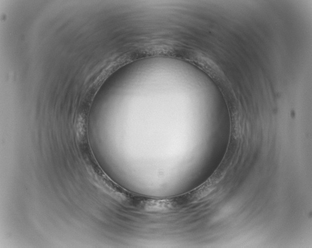 X0000052550077200507221502