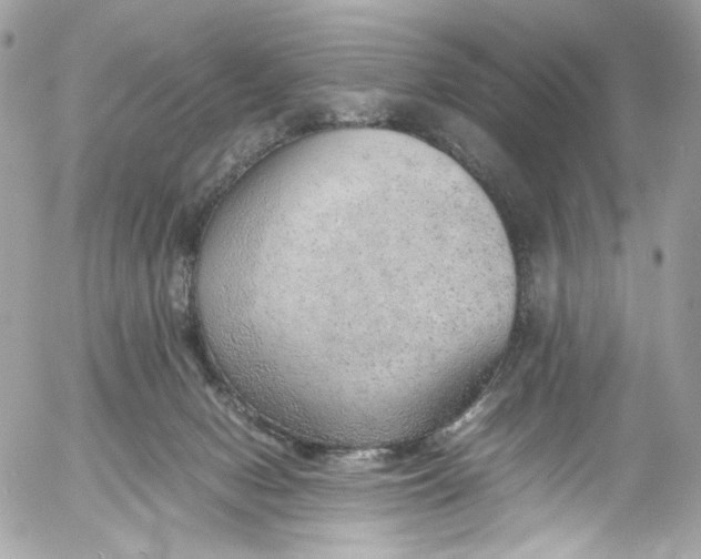 X0000052550078200507221502