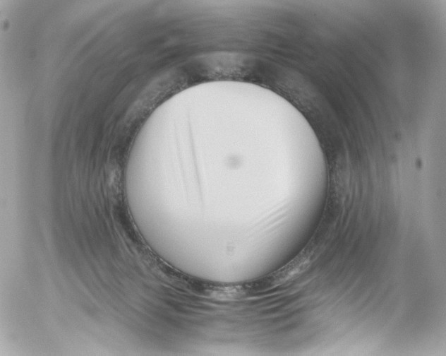 X0000052550079200507221502