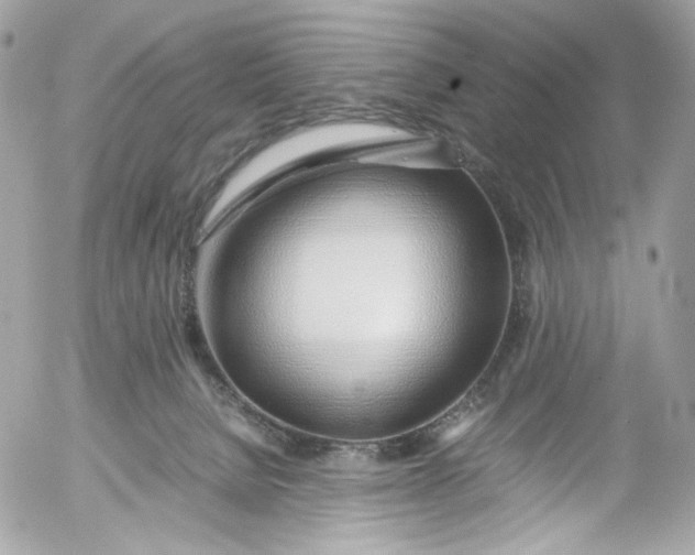 X0000052550080200507221502