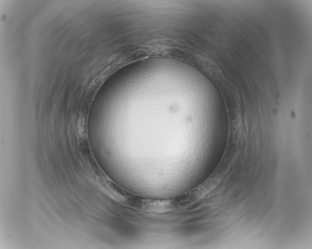 X0000052550081200507221502