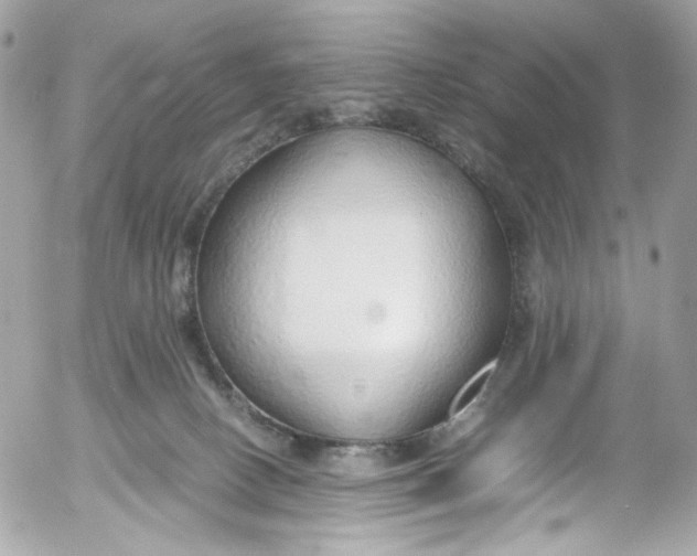 X0000052550082200507221502