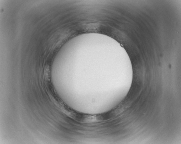 X0000052550083200507221502