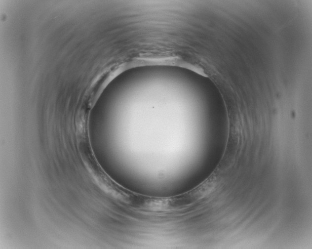 X0000052550084200507221502