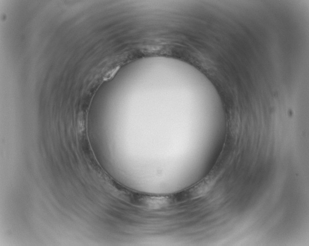 X0000052550085200507221502