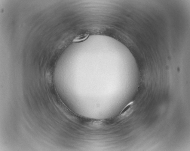 X0000052550086200507221502