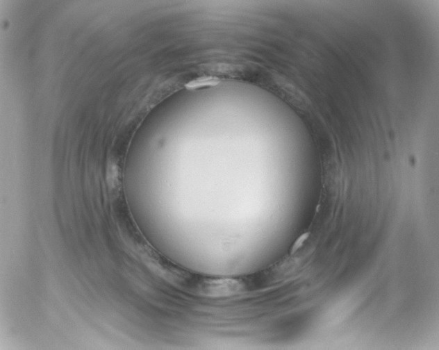 X0000052550087200507221502