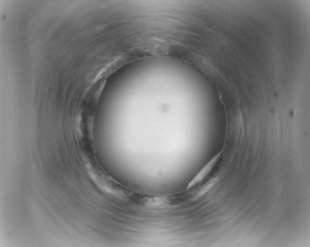 X0000052550088200507221502