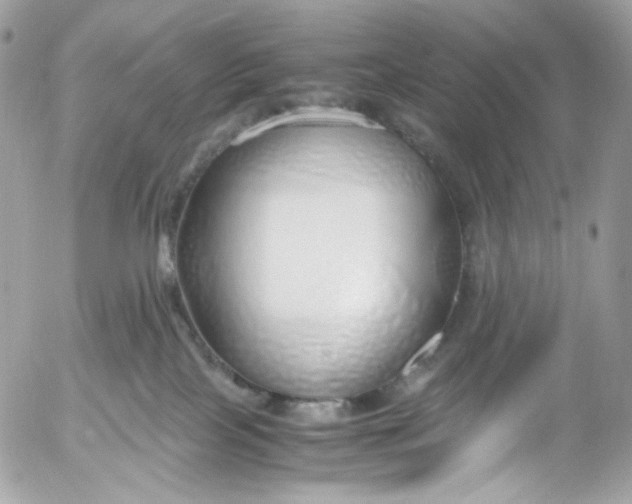 X0000052550089200507221502