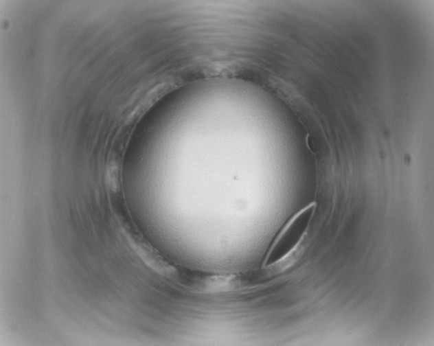 X0000052550090200507221502