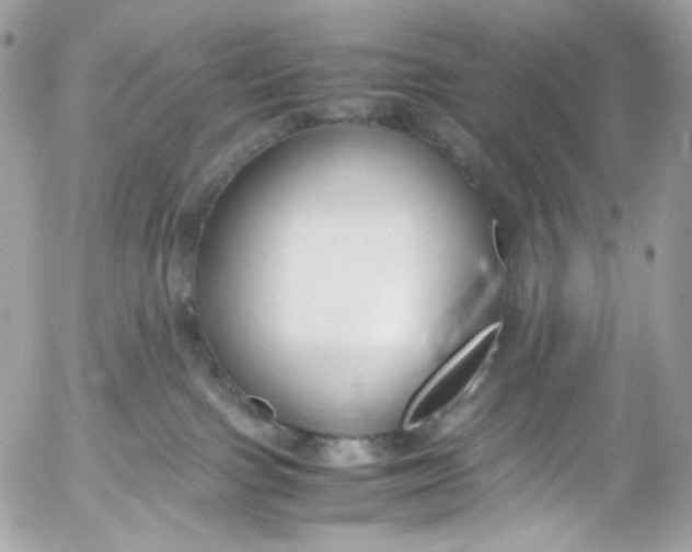 X0000052550091200507221502