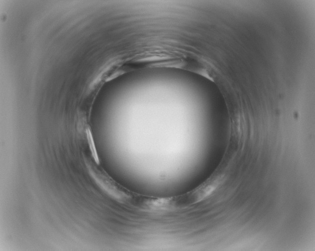 X0000052550092200507221502