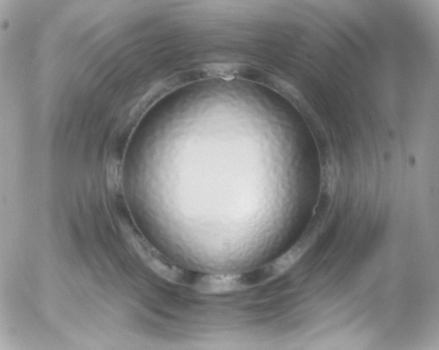 X0000052550093200507221502