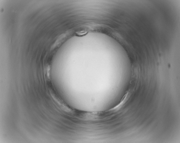 X0000052550094200507221502