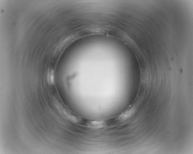 X0000052550095200507221502