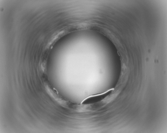 X0000052550096200507221502