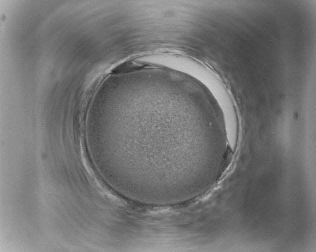 X0000052550097200507221501