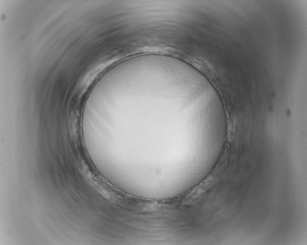 X0000052550098200507221501