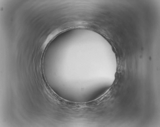 X0000052550099200507221501