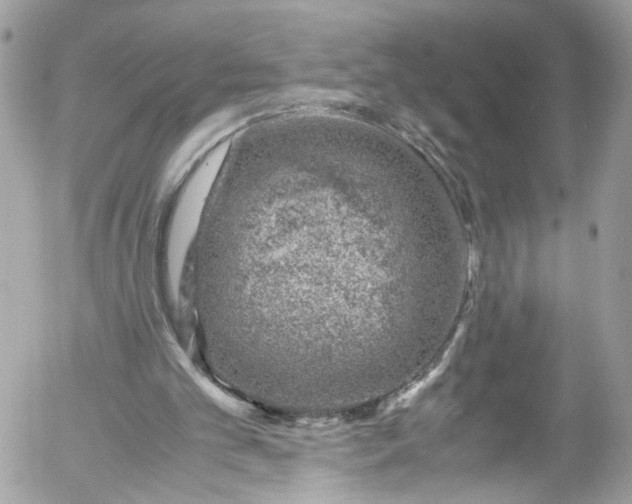 X0000052550101200507221501