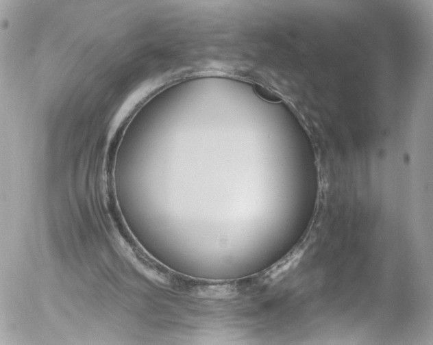 X0000052550102200507221501