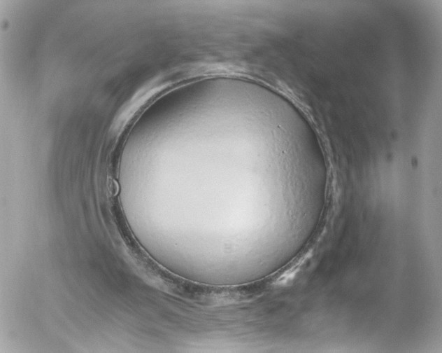 X0000052550103200507221501