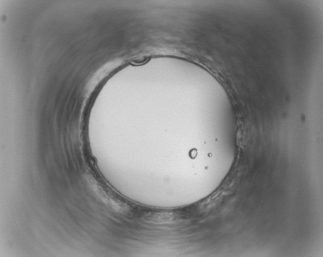 X0000052550104200507221501