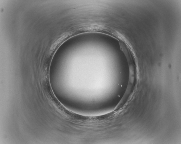 X0000052550105200507221501