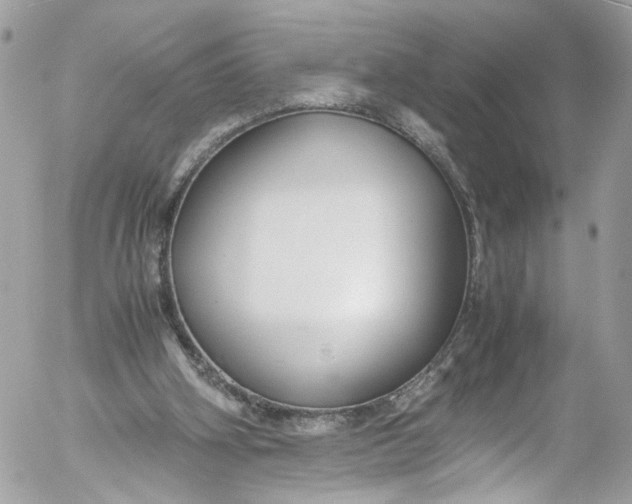 X0000052550106200507221501