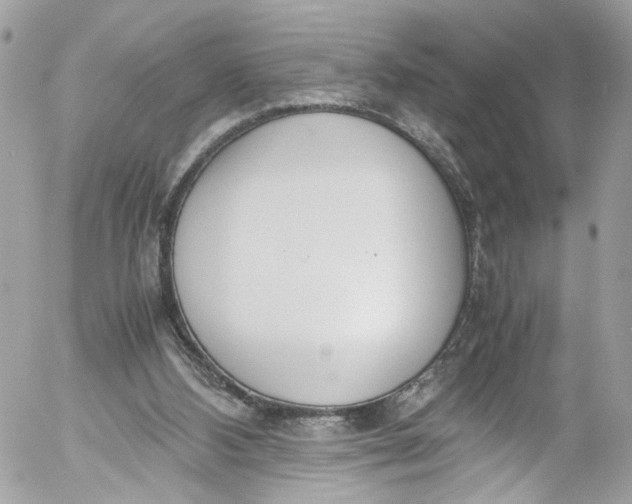 X0000052550108200507221501