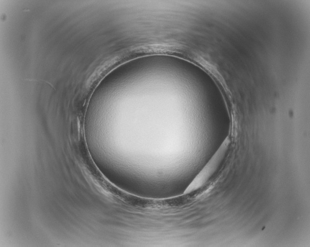 X0000052550109200507221501