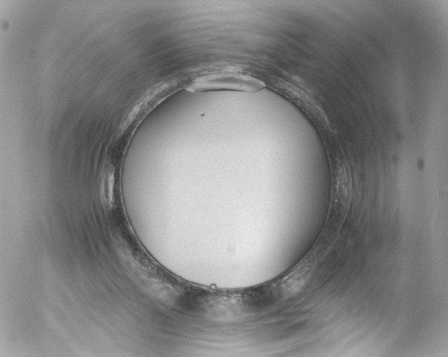 X0000052550110200507221501