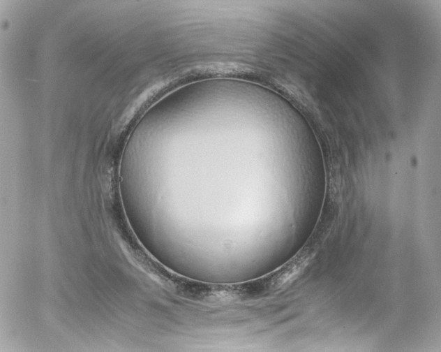 X0000052550111200507221501