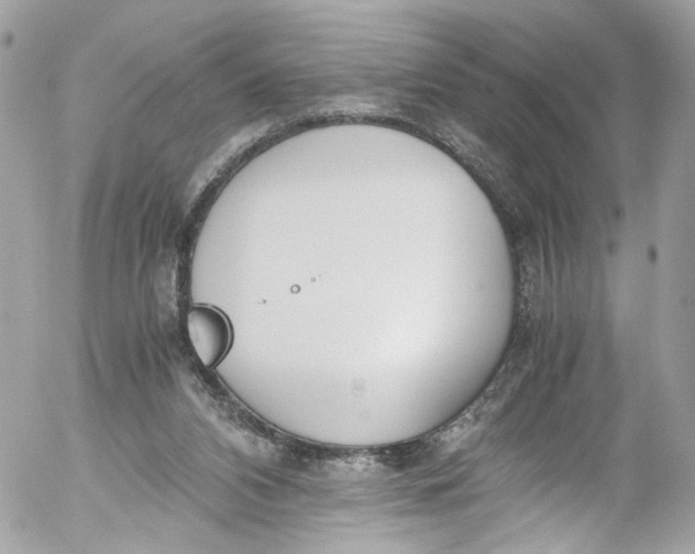 X0000052550112200507221501