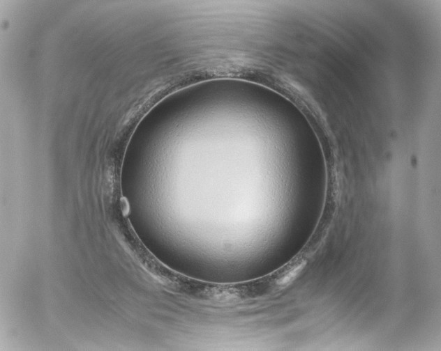 X0000052550113200507221501