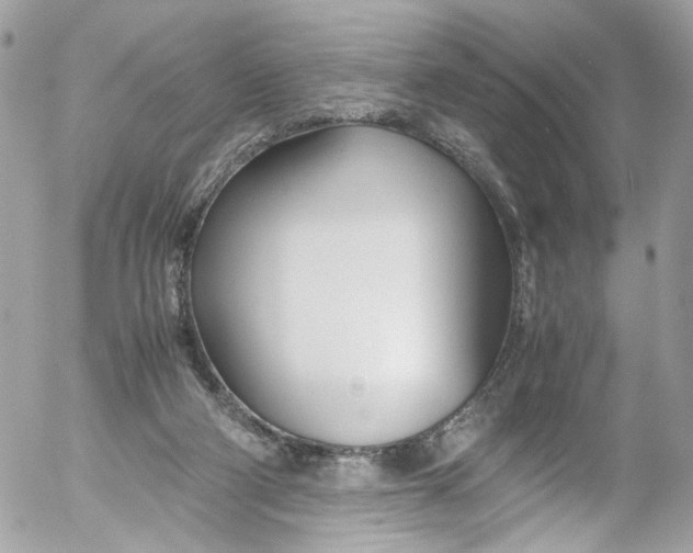 X0000052550114200507221501