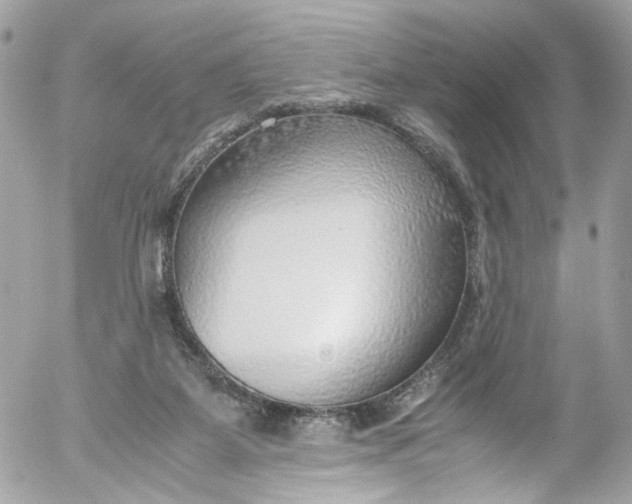 X0000052550115200507221501