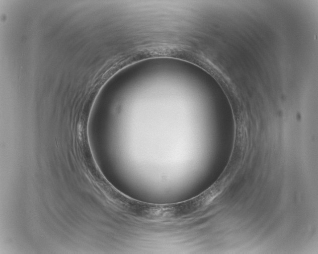 X0000052550117200507221501