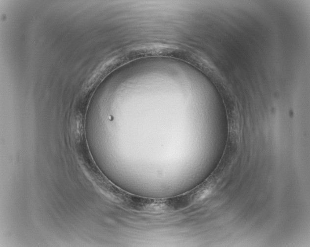 X0000052550119200507221501