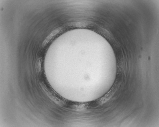 X0000052550120200507221501