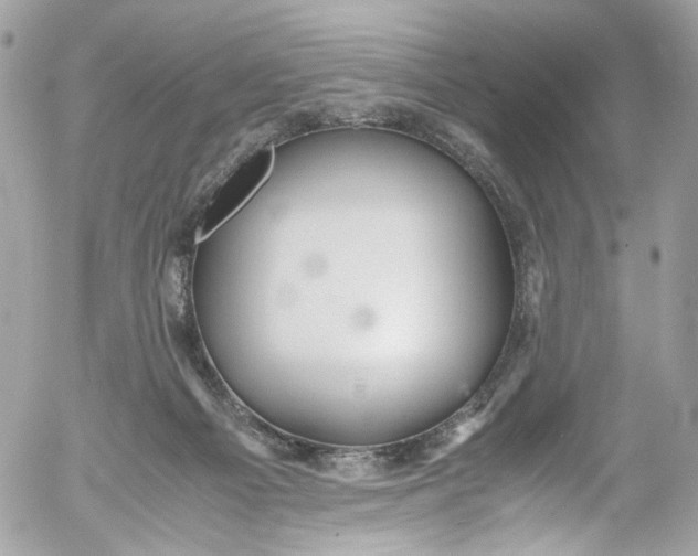 X0000052550121200507221501