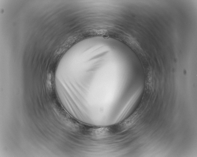 X0000052550122200507221501